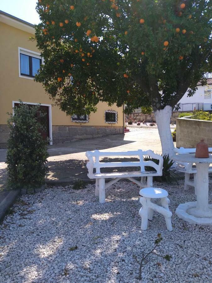 Casa Celeste Portugal Holiday home Vila Nova de Gaia